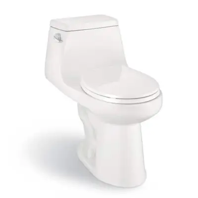 12 inch Rough In Two-Piece 1.1 GPF1.6 GPF Dual Flush Elongated Toilet in White Seat Included