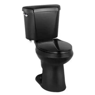 Glacier Bay 12 inch Rough In Two-Piece 1.28 GPF Single Flush Elongated Toilet in Black Seat Included