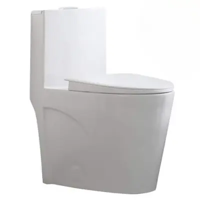 Glacier Bay Buxton 1-Piece 1.6 GPF1.1 GPF Dual Flush Elongated Toilet in White