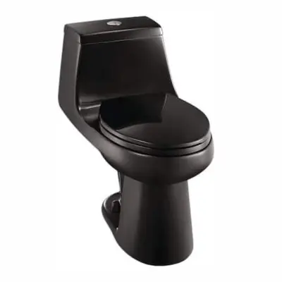 McClure 12 inch Rough In One-Piece 1.1 GPF1.6 GPF Dual Flush Elongated Toilet in Black Seat Included