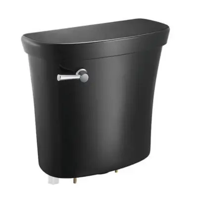 Glacier Bay SuperClean 1.28GPF Single Flush Toilet in Black